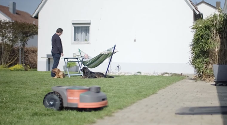 Az élet egyensúlya